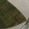 Initial Shot and Sample